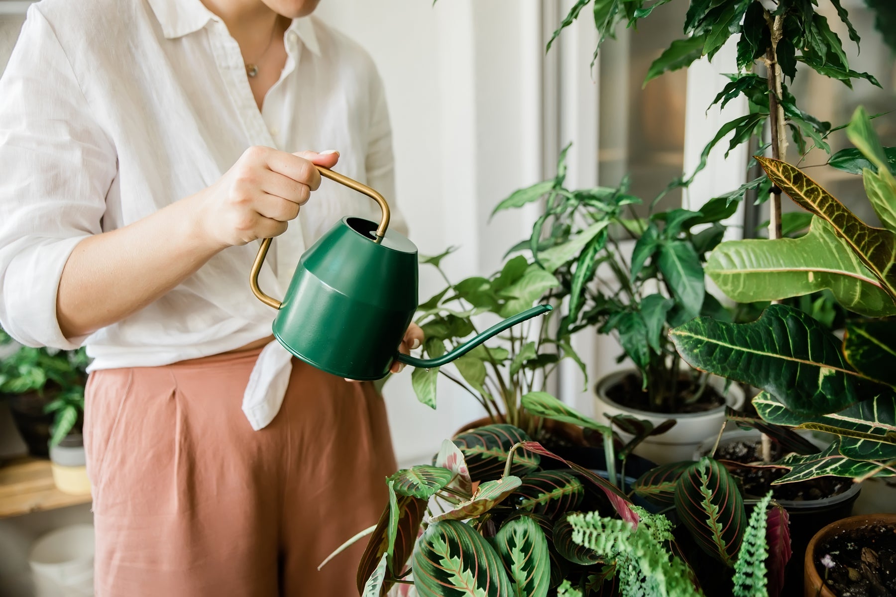 Indoor Gardening Gift Guide: Perfect Presents for Every Plant Lover