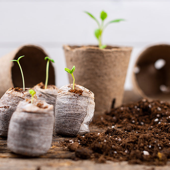 Eco-Friendly Gifts for the Eco-Conscious Gardener