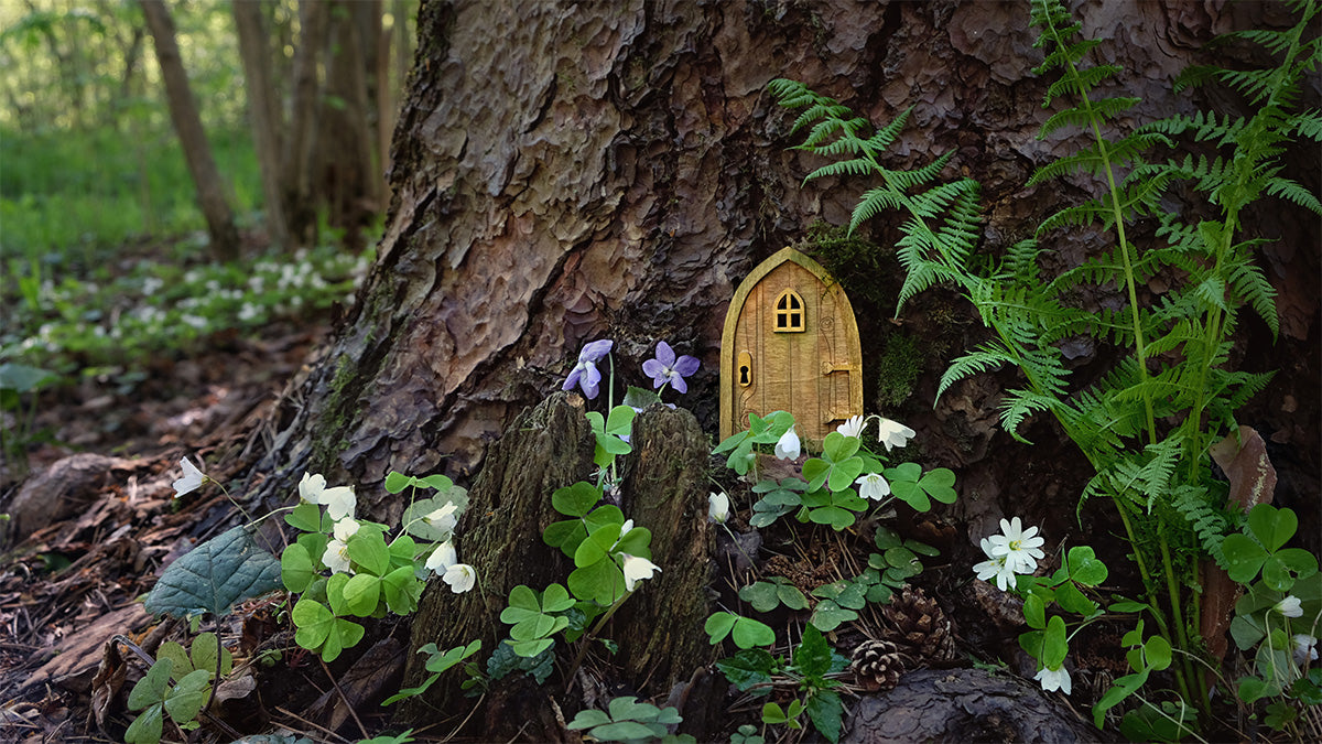 Why Garden Gnomes Make The Quirkiest Presents