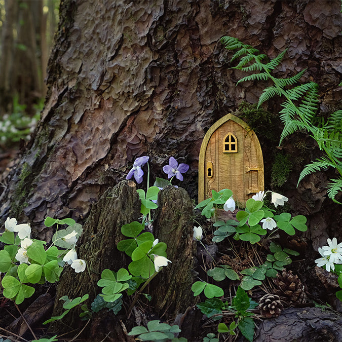 Why Garden Gnomes Make The Quirkiest Presents