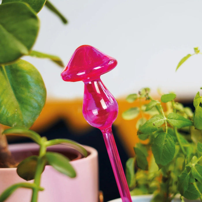 Mushroom Micro-Dousers - Self-Watering Globes