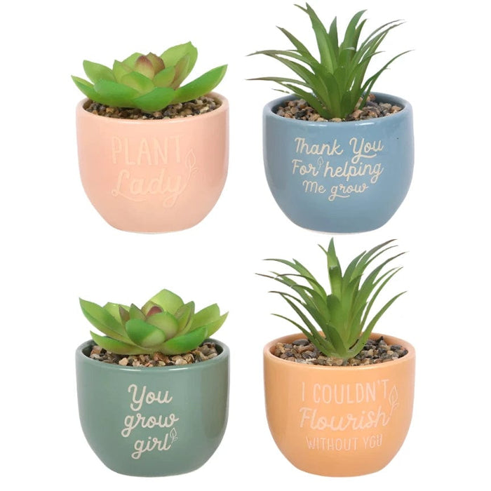 Mini Plant Pots with Artificial Plant