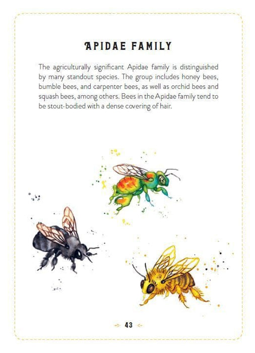 The Little Book Of Bees: An illustrated guide to the extraordinary lives of bees