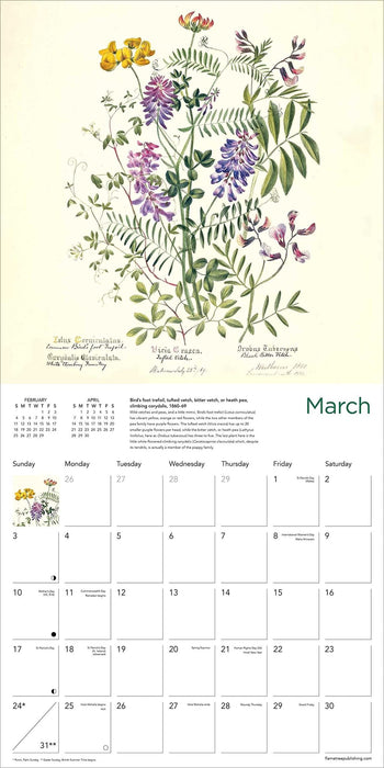 Royal Botanic Garden Edinburgh Wall Calendar 2024