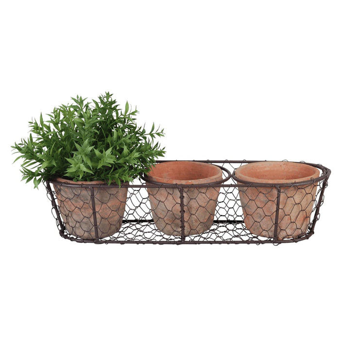 Aged Terracotta Pots in Wire Basket (Three Pots)