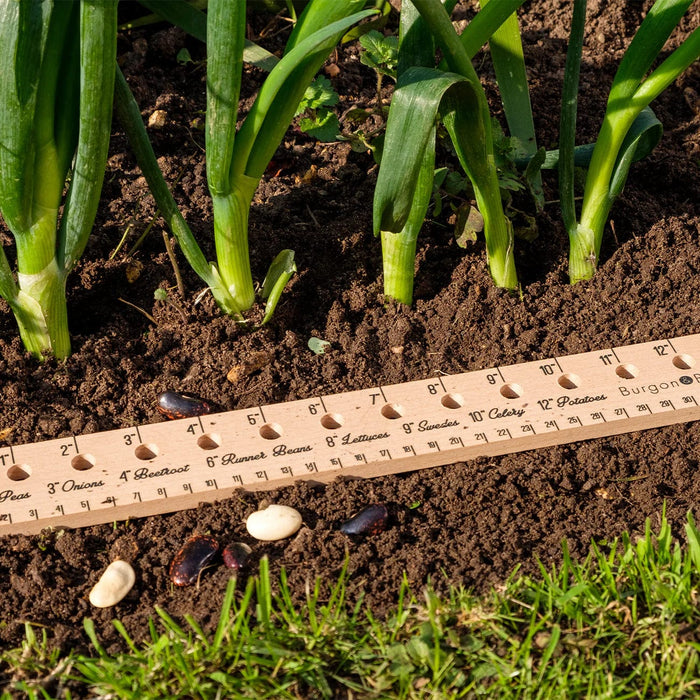 Planting Ruler - Essential Tools