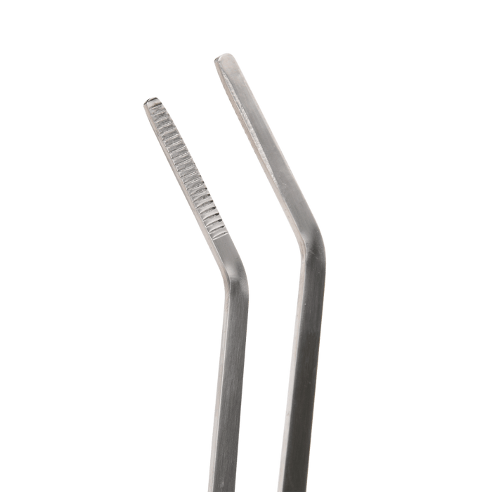 Long Terrarium Tweezers (Stainless Steel)
