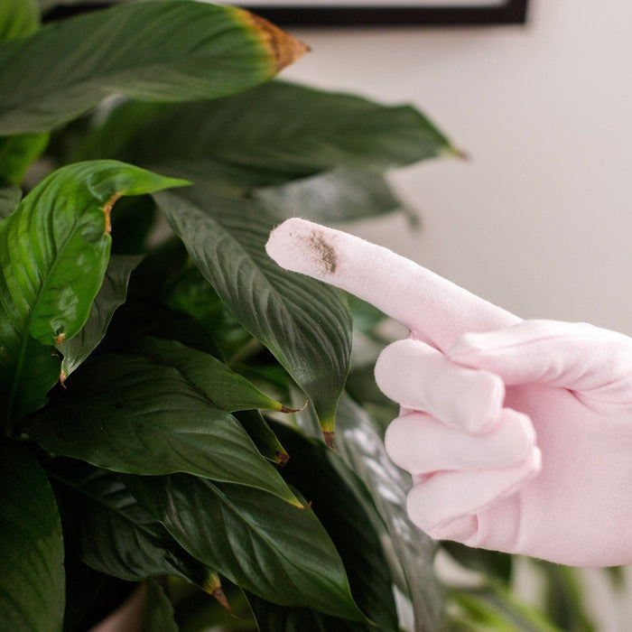 Houseplant Duster Gloves - Delicate Cleaning Gloves