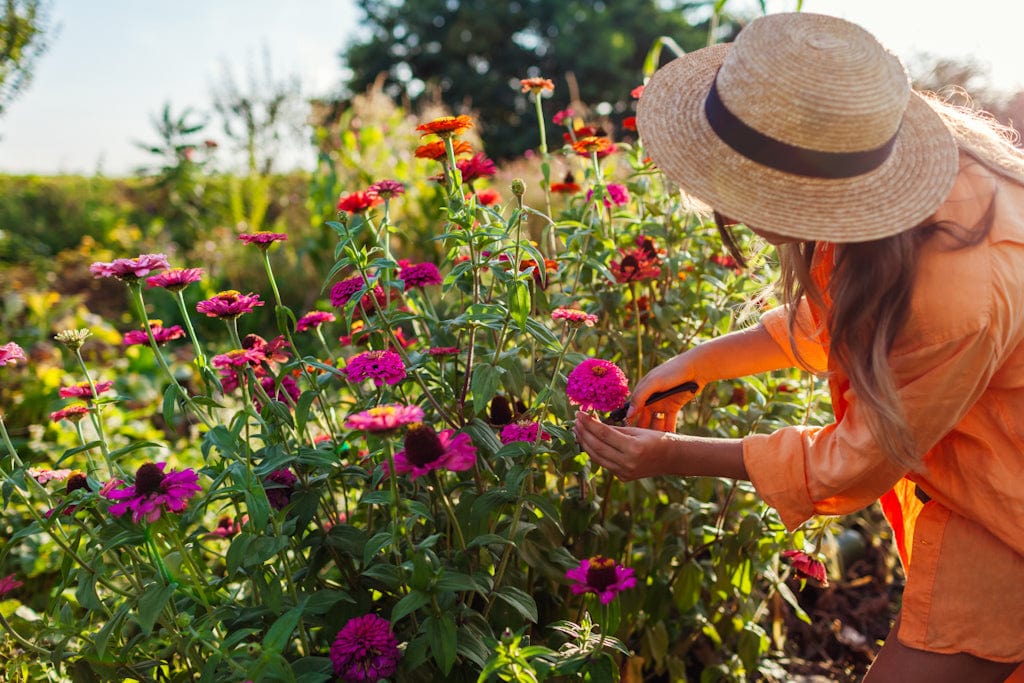 Mid-Level Florist and Flower Gardeners