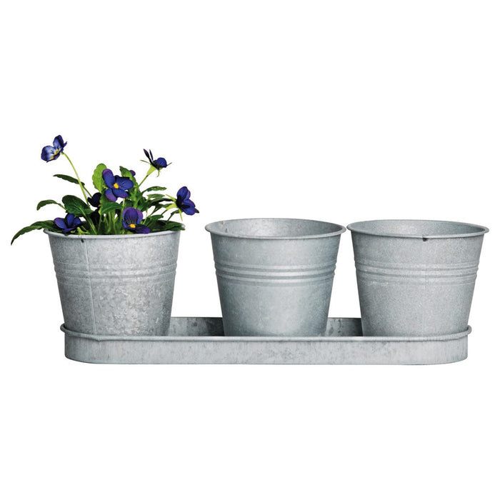 Rustic Zinc Pots with Tray (Set of Three)