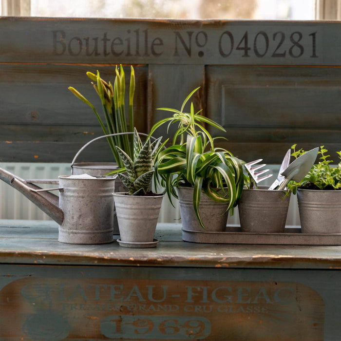 Rustic Zinc Pots with Tray (Set of Three)