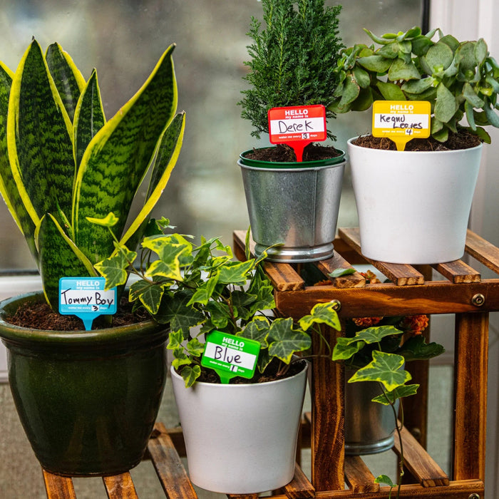 Plant Name Badges - Name Tags for Indoor Plant Pots