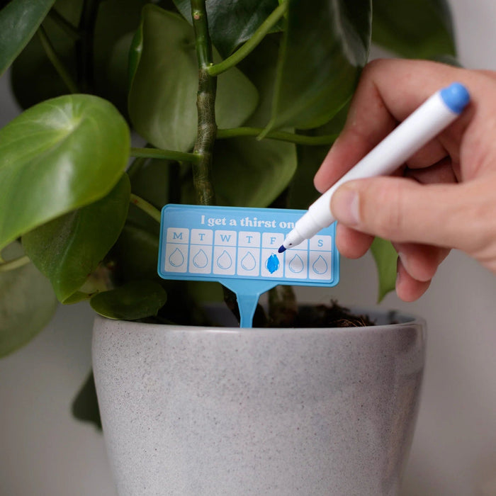 Thirsty AF - 12x Houseplant Watering Schedule Tags