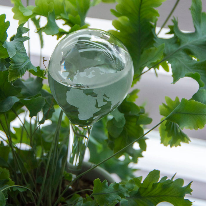Glass Plant Waterering Globe (Earth Print)