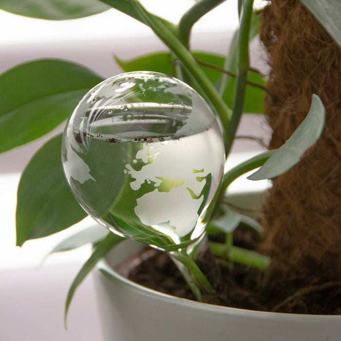 Glass Plant Waterering Globe (Earth Print)