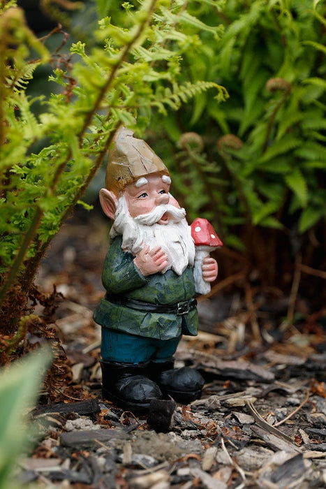 A Bit Quackers Garden Decor - Cheeky Garden Gnome