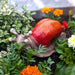 A Bit Quackers Garden Decor - Glorious Garden Snail