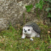 A Bit Quackers Garden Decor - Miniature Hedgehog