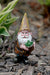 A Bit Quackers Garden Decor - Prickly Garden Gnome