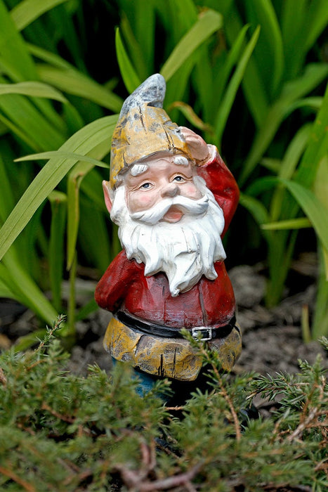 A Bit Quackers Garden Decor - Quizzical Garden Gnome