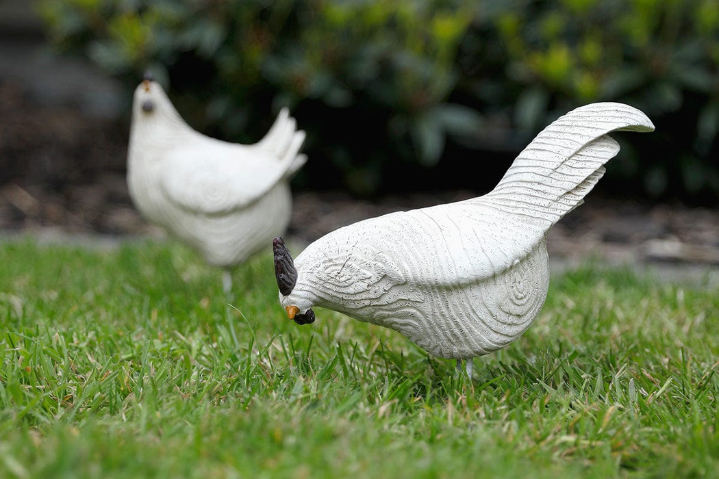 A Bit Quackers Garden Decor - Wood Style Rooster