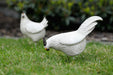 A Bit Quackers Garden Decor - Wood Style Rooster