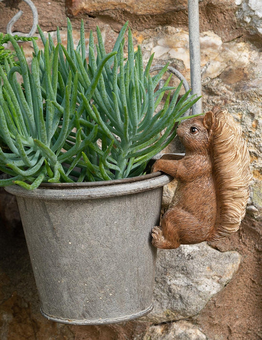 Plant Pot Hanger - Squirrel Nutkin