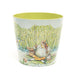 Beatrix Potter Indoor Plant Pots - Peter Rabbit Set of 3 Eco Pots