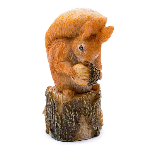 Beatrix Potter Plant Pot Accessories - Cane Companions - Squirrel Nutkin