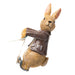 Beatrix Potter Plant Pot Accessories - Plant Pot Hanger - Benjamin Bunny