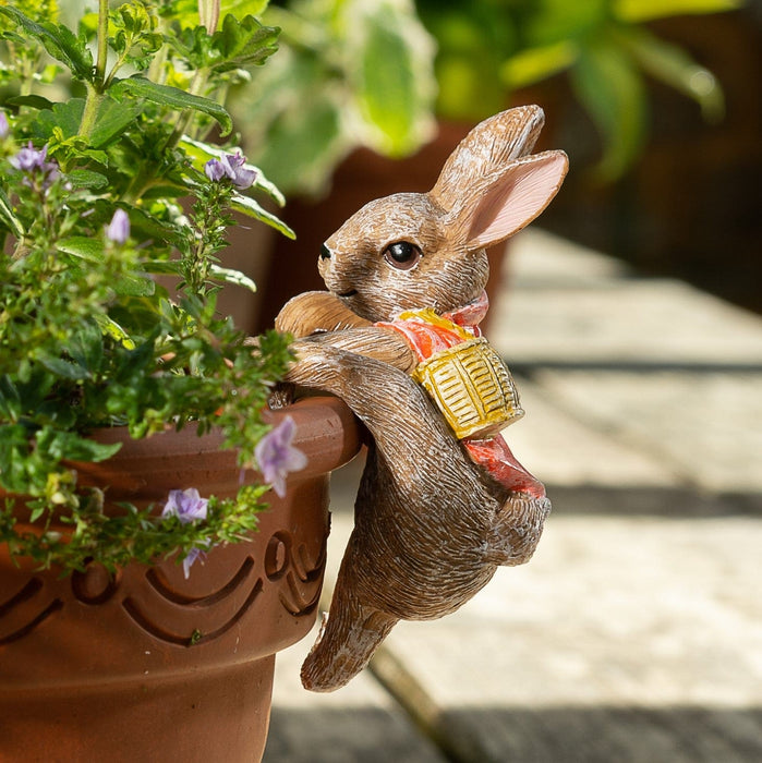 Beatrix Potter Plant Pot Accessories - Plant Pot Hanger - Flopsy Bunny