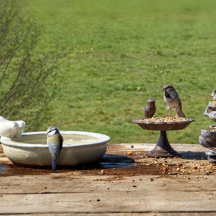 Best for Birds Bird Baths & Feeders - Decorative Ceramic Round Garden Bird Bath