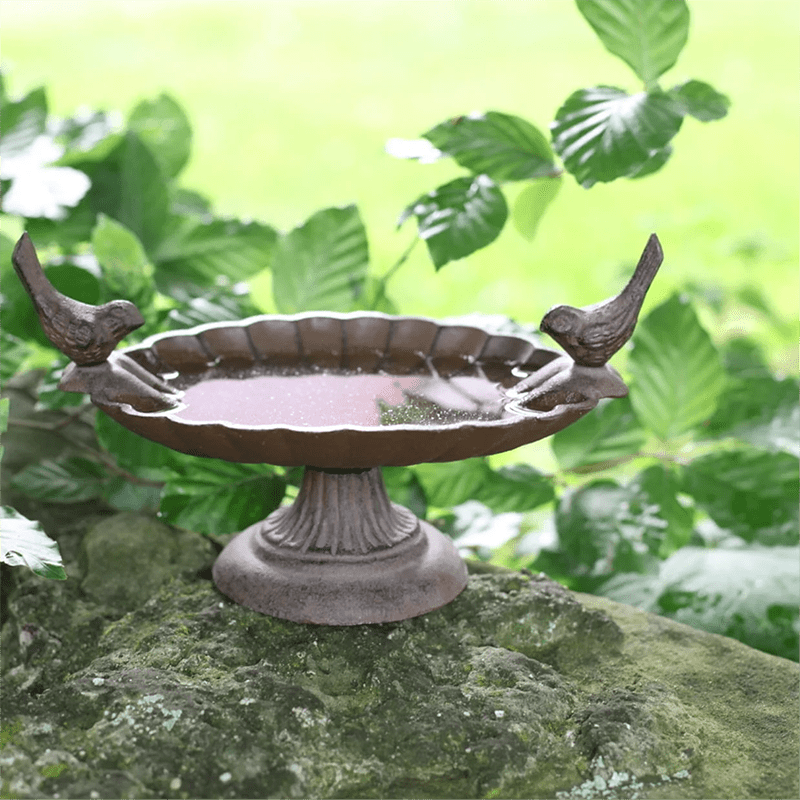 bird bath filled with water outside