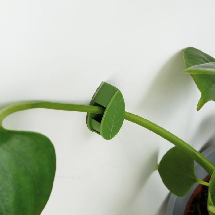 Bubblegum Stuff Indoor Gardening - Houseplant Climbing Clips - Leaf Shaped Clips for Plants