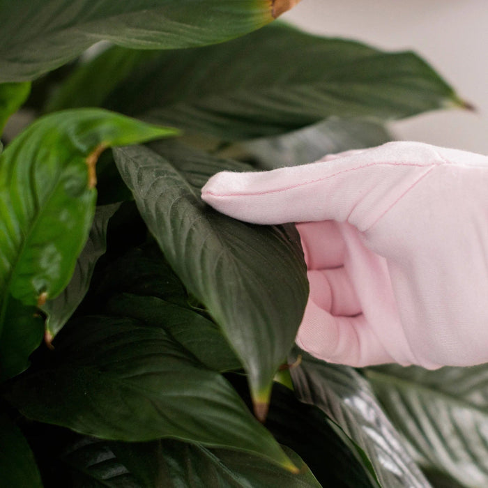 Bubblegum Stuff Indoor Gardening - Houseplant Duster Gloves - Delicate Cleaning Gloves