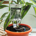 Bubblegum Stuff Indoor Gardening - Plant Life Support - Automatic Watering for Plant Pots