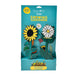 Burgon & Ball Garden Accessories - My Garden Patch Set - Flower - RHS Growing Gardeners