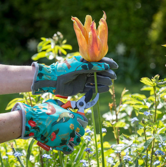 Burgon & Ball Garden Tool Gift Sets - Garden Kneeler & Gloves Bundle - Flora & Fauna