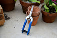 Burgon & Ball Garden Tools & Equipment - British Meadow Flower and Fruit Snip - Gift Boxed