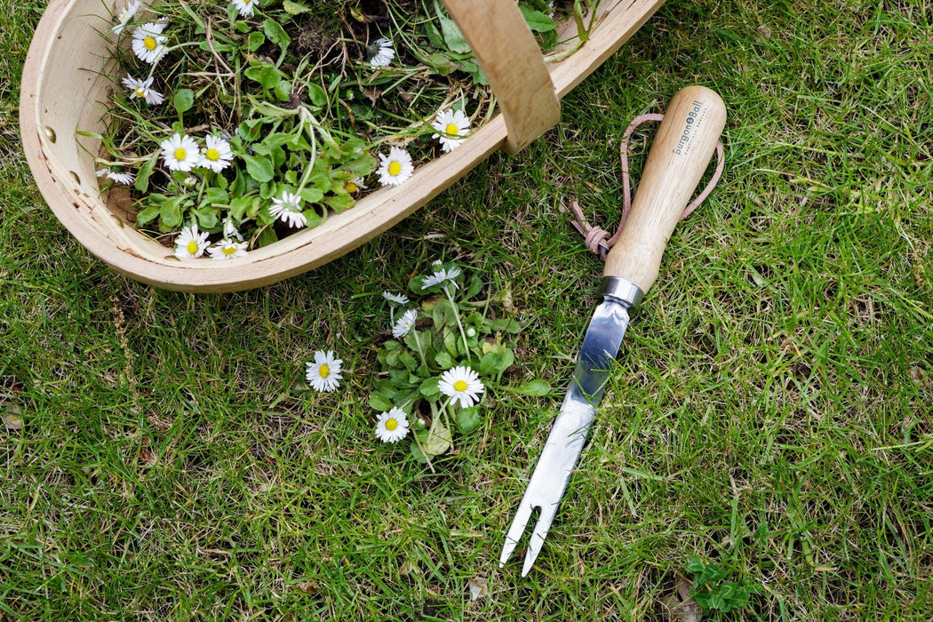 Burgon & Ball Garden Tools & Equipment - Daisy Grubber - RHS Endorsed