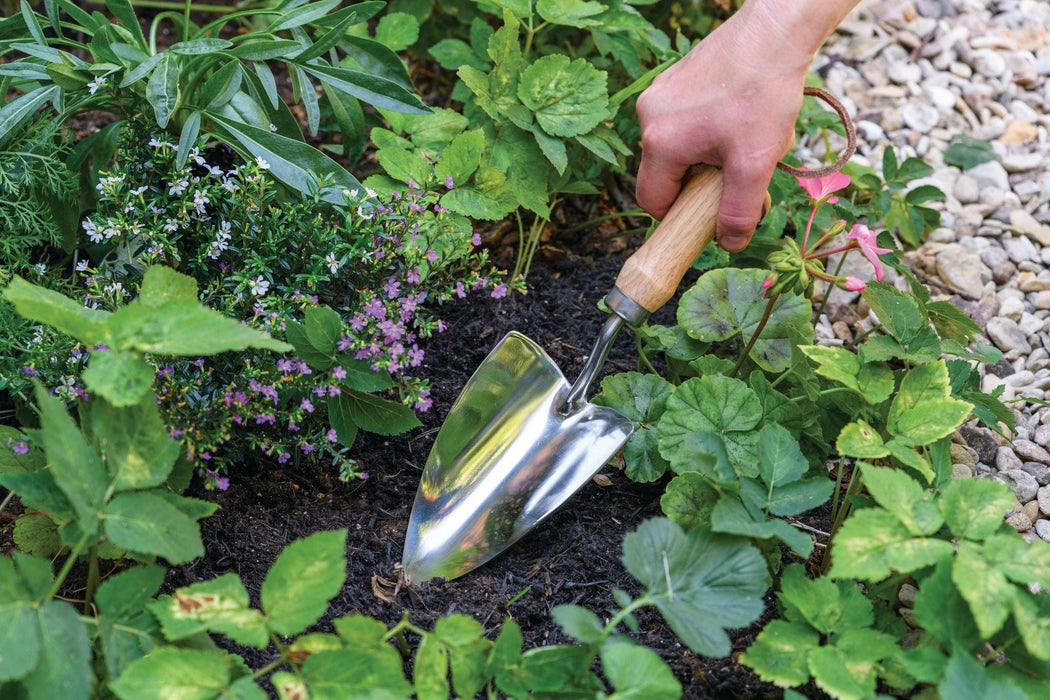 Burgon & Ball Garden Tools & Equipment - Groundbreaker Trowel - RHS Endorsed