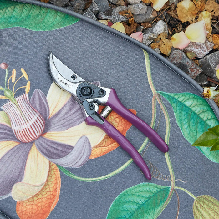 Burgon & Ball Garden Tools & Equipment - Passiflora Secateurs - Gift Boxed