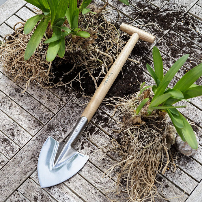 Burgon & Ball Garden Tools & Equipment - Perennial Spade - RHS Endorsed