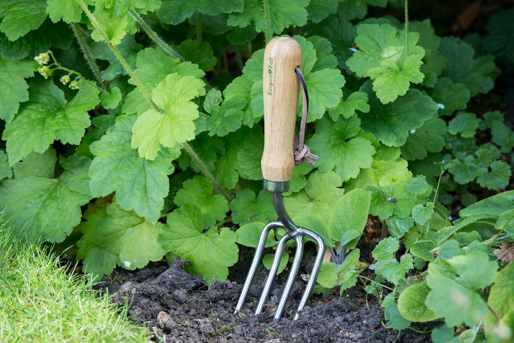 Burgon & Ball Garden Tools & Equipment - Round Tined Fork - RHS Endorsed