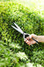 Burgon & Ball Garden Tools & Equipment - Sophie Conran Topiary Shear - Gift Boxed