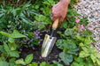 Burgon & Ball Garden Tools & Equipment - Transplanter - RHS Endorsed