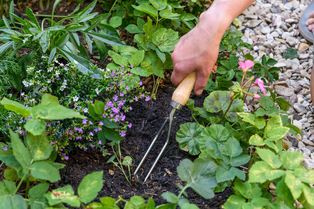 Burgon & Ball Garden Tools & Equipment - Weeding Fork - RHS Endorsed