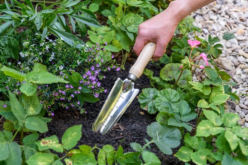 Burgon & Ball Garden Tools & Equipment - Weeding Trowel - RHS Endorsed