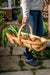 Burgon & Ball Garden Trugs & Baskets - Traditional Wooden Trug - Large