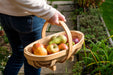 Burgon & Ball Garden Trugs & Baskets - Traditional Wooden Trug - Medium